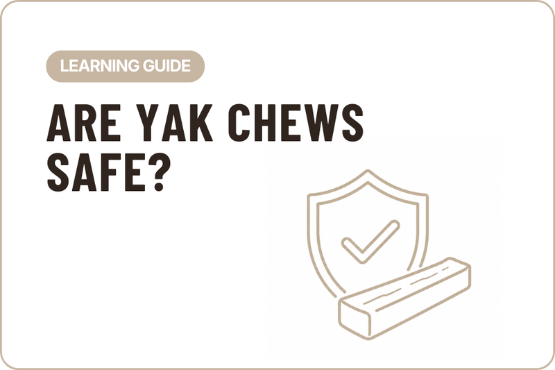 Are Yak Milk Dog Chews Safe?