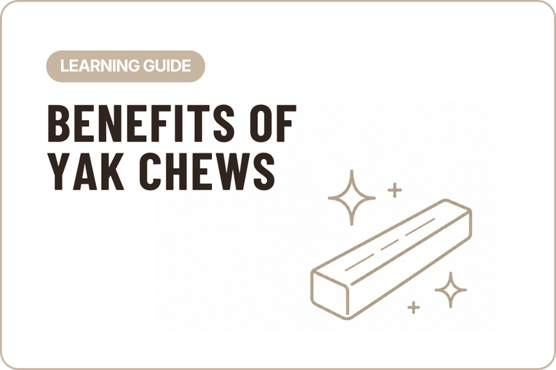 Benefits of Yak Milk Dog Chews
