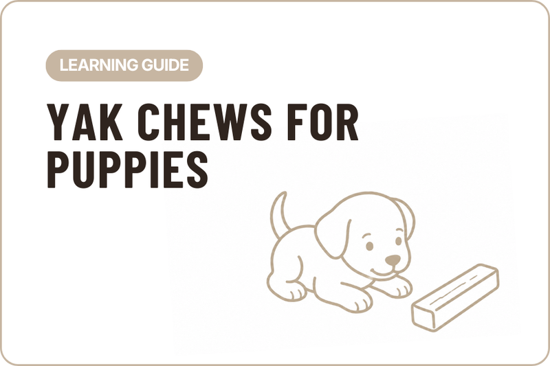 Can Puppies Have Yak Chews?