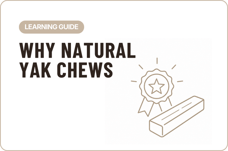 Why Yak Chews are of the Best Natural Dog Chews